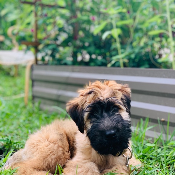 Meet your Posher, Aunt B - Picture 8 of 9